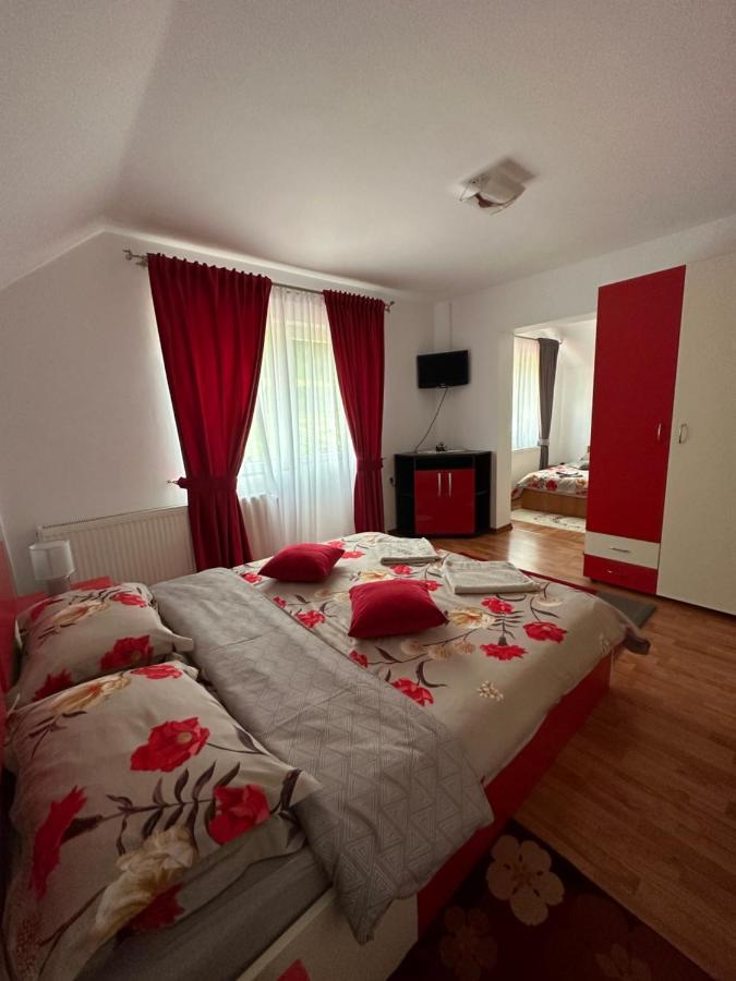 Villa Casa Ika&Matei Borşa Exterior foto