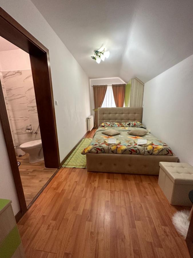 Villa Casa Ika&Matei Borşa Exterior foto