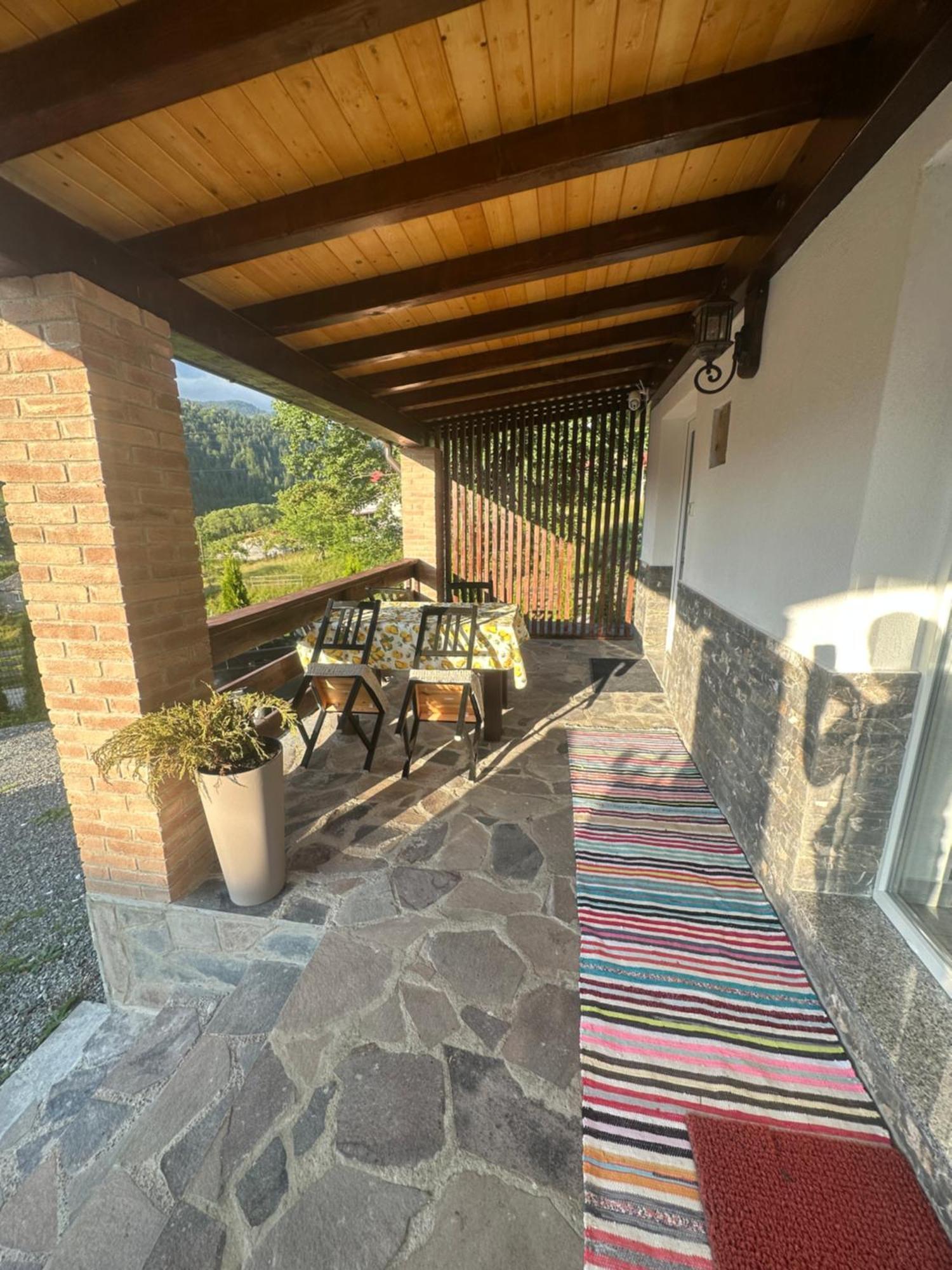 Villa Casa Ika&Matei Borşa Exterior foto